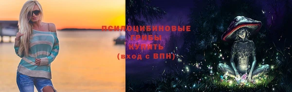 шишки Балабаново