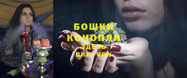 шишки Балабаново