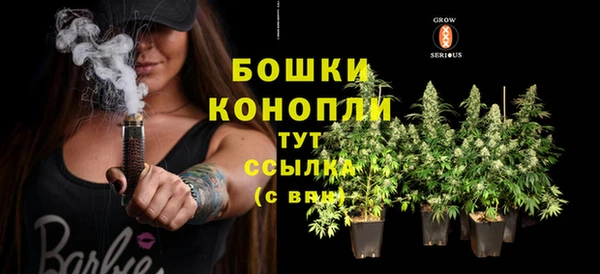 шишки Балабаново