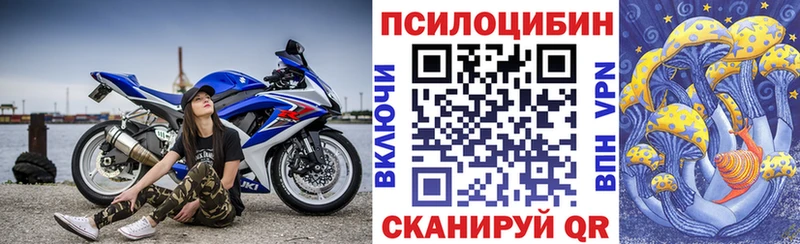 Псилоцибиновые грибы Magic Shrooms  где купить наркоту  OMG tor  Верхняя Пышма 