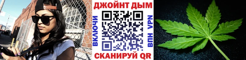 mega ссылка  Верхняя Пышма  Конопля гибрид  купить наркотики цена 